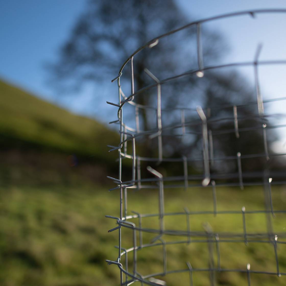 Tree guard pasture, tree protector pasture Cactus Tree Guards
