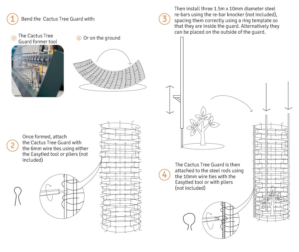 Illustration: how to install Cactus Tree Guards